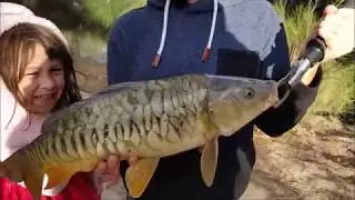 Fishing The Cotter River