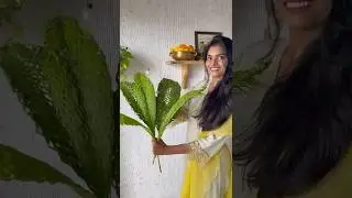 Palm leaf తో DIY Diwali Decor🌿🌼 #diywithharika #festivaldecor #deepawali #diwali2025