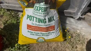 What&rsquo;s inside &ldquo;Expert Gardener&rdquo; potting mix from Walmart? And can you start seeds with it?