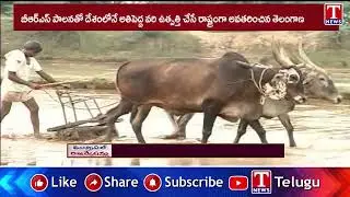 పదేళ్ల BRS పాలనలో వ్యవసాయ విజయగాథపై కేటీఆర్ ట్వీట్ | T News