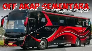 RANAJAYA MUNDUR DARI AKAP 🤔 PRIBUMI BLITAR MAINTENANCE PENINGKATAN PELAYANAN 