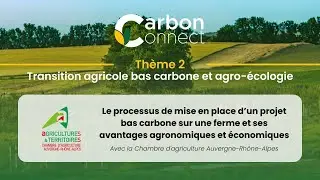 Mise en place d&rsquo;un projet bas carbone sur une ferme : avantages agronomiques & &eacute;conomiques 🌾👨&zwj;🌾