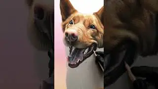 Pet Portrait Soft Pastel Artwork ASMR 🔊 #art #drawing #satisfying