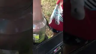 Toad catcher
