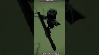Really Funny Minecraft Ender Dragon Glitch on Bedrock Edition Nintendo Switch