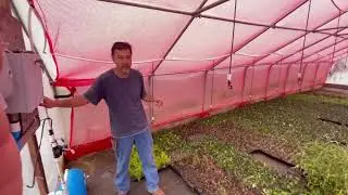 Brightwater Nursery How our mist system works