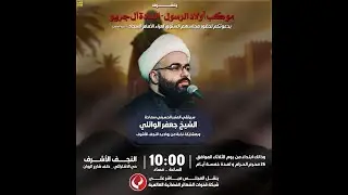 #مباشر#النجف_الأشرف الشيخ جعفر الوائلي |  موكب أولاد الرسول - السادة آل جريو | ليلة 11 صفر1447