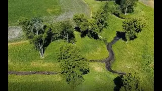 Dakin Creek Stream Restoration Project