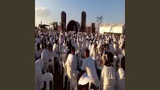 Synth Storm