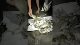 menjala ikan di spot baru
