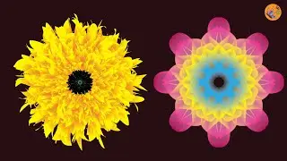 3d Geometric Mesh Tool - Beautiful Flower Design using illustrator tricks