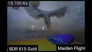 NewBeeDrone BDR Gold Edition 615 brushed coreles motor FC makerfire 1s