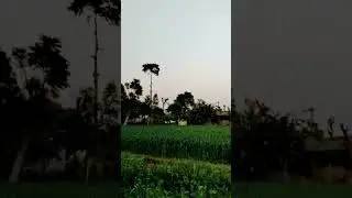 ખેડૂત પુત્ર &zwnj;krishna dairy farm devkamboi ❤️