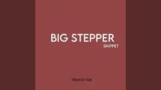 Big Stepper Snippet