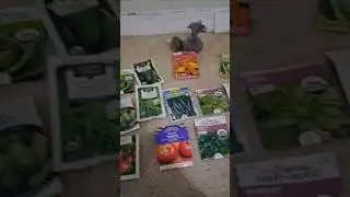 Seed inventory