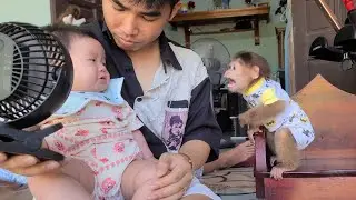 Monkey David threatens the baby making the baby cry
