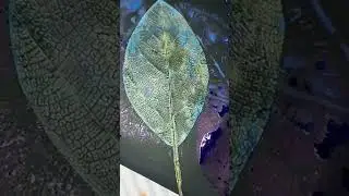 😱 blue leaves beautiful painting🥰🥰