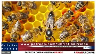 Amber Left Islam For Christianity | Sex | Love | Beating Woman | Empty People | Praying | Trinity