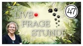 Fragestunde Nr 47 Katja Brandis