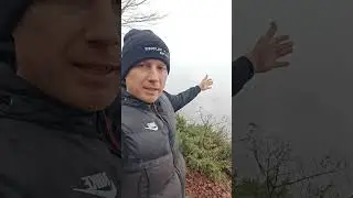 белый медведь в северном Кавказе #shorts #viral #funny #comedy