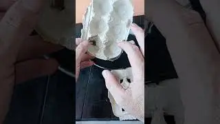 Huevo maple consejo al utilizarlo para repeler mosquitos etc