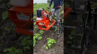 Mudra weeder🚜#trending #modernfarmer #farmequipment #agrifuture #farmer #farmmachinery #easyfarming