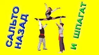 Astonishing Acrobatics: Backflips, Splits, and Circus Wonders! 🤸&zwj;♂️✨