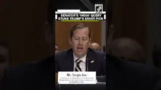 Сенатор Конгресса США требует объяснений от выбранного Трампом спецпредставителя Серхио Гора по п...