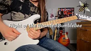 Extreme - He Man Woman Hater Intro Cover (Flight of the Wounded Bumblebee)