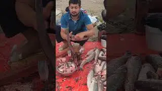 Amazing Fish Cutting Easy Method By Expert Fish Cutter EP- 169 #shorts #shortsfeed #fishcutting