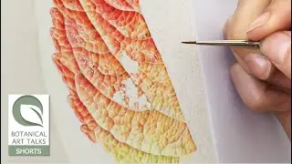 LEAVES ON VELLUM -  Isabel Mischka (Botanical Art Talk extract)