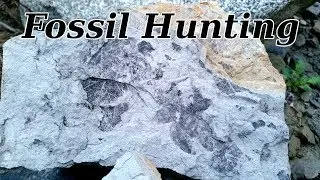 Fossil Hunting at Deep Creek, Washington