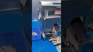 Fish middle bone removing machine big bone separating machine #foodprep
