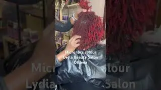 Micro locs colour #microlocs #microlocks #sisterlocs #sisterlocks