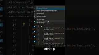 Visual Studio in install Snapshot and Use code 