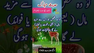 Rishwat in islam - Hadees in Urdu - #youtubeshorts #shorts