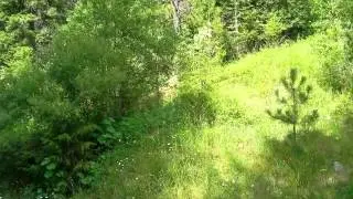 Homes for Sale - 202 Granite Ridge Rd E Sandpoint ID 83864 - Bill Malone