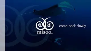 Come Back Slowly