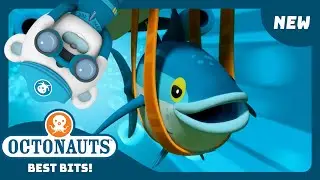 @Octonauts - ⚡Testing the Power of the GUP-R 💫 | Brand New Season 5 | Best Bits!