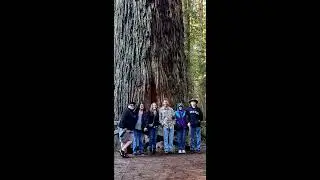 Stout Memorial Grove Nov 2023
