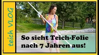 Unsere Teichfolie nach 7 Jahren im Schwimmteich