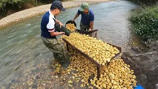 This River Hid a Gold Mine for Years &mdash; Until We Found It #gold #goldmining