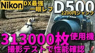 ジャンクカメラ Nikon D500 313,000枚撮影後の状態はどうなるか？2200円で買った最強一眼レフを整備し、ハードに使われたプロ機が寿命の1.5倍を超えたときの状態を、動体撮影でレビュー