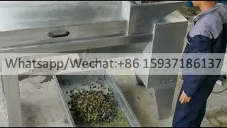 grape crusher destemmer machinefresh grape juicer extracting machine grape stem removing