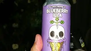 Blueberry Milkshake Ale (Full Circle Brewery)