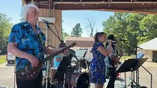 The David Michaels Band - Chain Of Fools