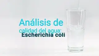 Prueba de Escherichia coli – Tutorial #2 para medir la calidad del agua