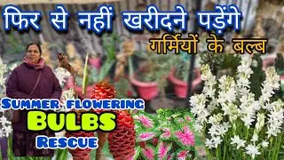 Bollywood Songs 🥰🎶, Sadabahar Hit Gaane 🤩💞, Romantic Songs 🥰❤🎶, 90's Hit Songs 🤩🌎, Love Songs 🥰😘🎶🌴🌎