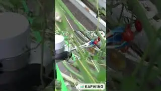 Craziest AI Harvesting Robots That Are Making Farms So Efficient