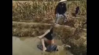 Comendo lama!